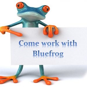BlueFrog careers